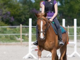 IMG-0494_web